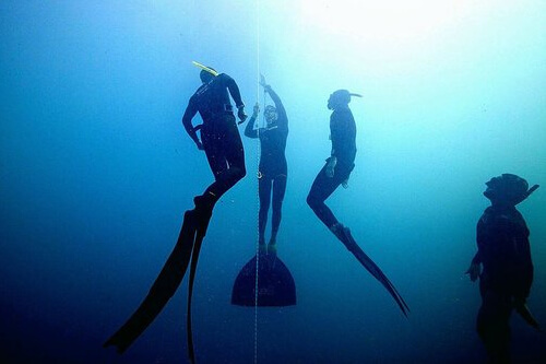 The Fifth Annual International Freediving Competition 2017 was celebrated in Roatan