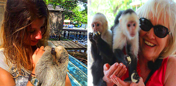 Monkey and sloth sanctuary