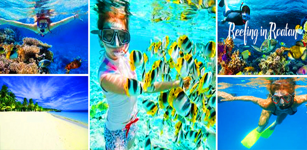 thumbnail-image
